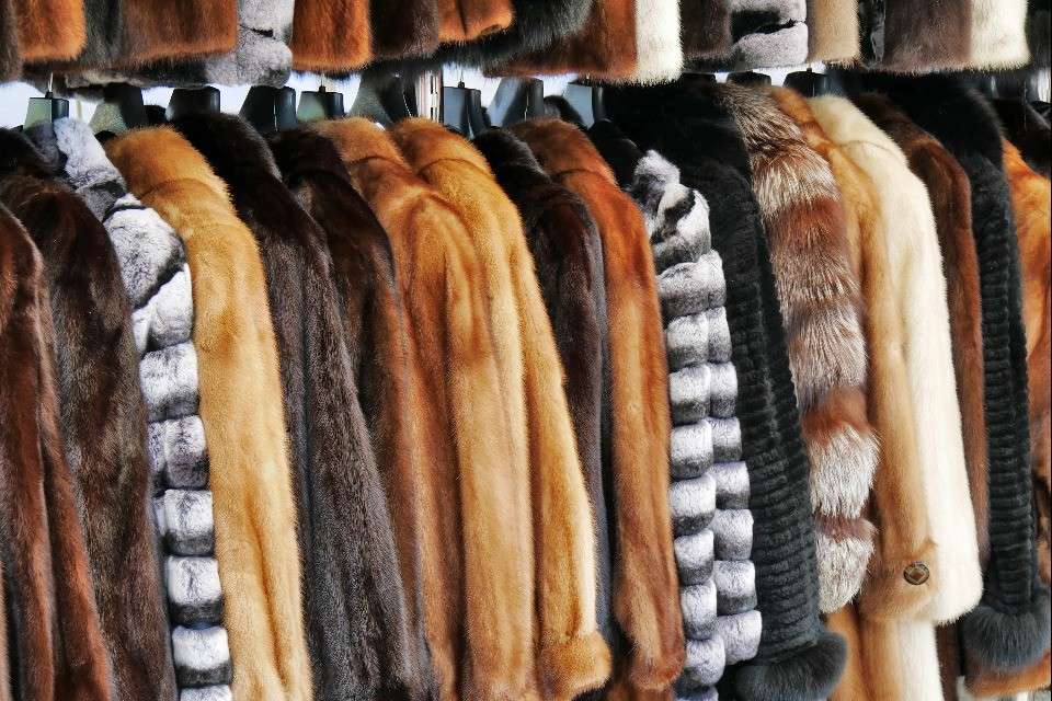 Torna in voga la pelliccia: riciclo del vintage o acquisto del sintetico?