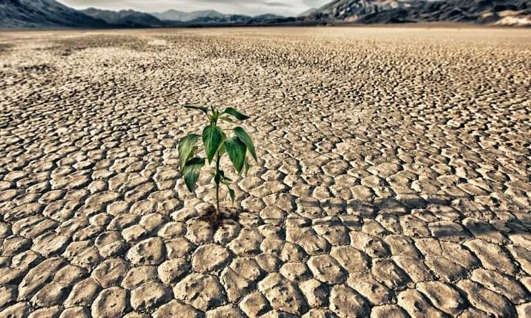 Scopri di più sull'articolo SOS SICILIA: la terra d’aranci tra spopolamento e crisi idrica
