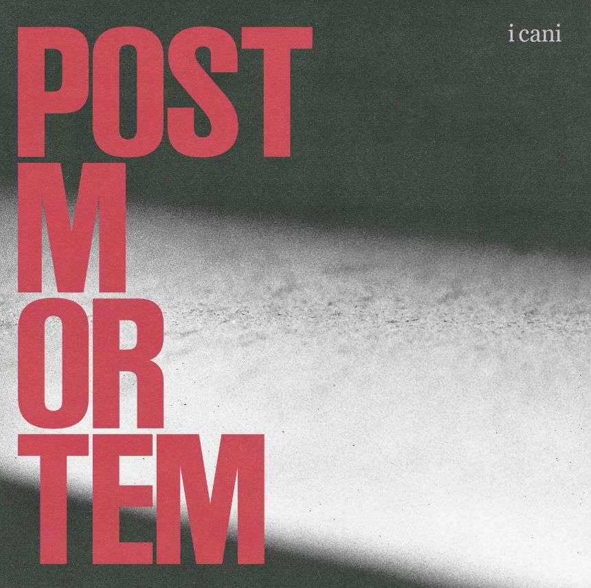 Copertina di post mortem, nuovo album de i cani