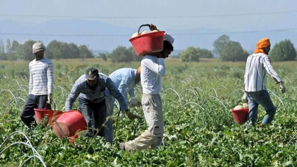 Il caporalato non si ferma, nemmeno con 45 gradi