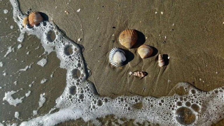 Scopri di più sull'articolo Il Post-Vacation Blues: ovvero, quando il mojito lascia spazio al caffè amaro
