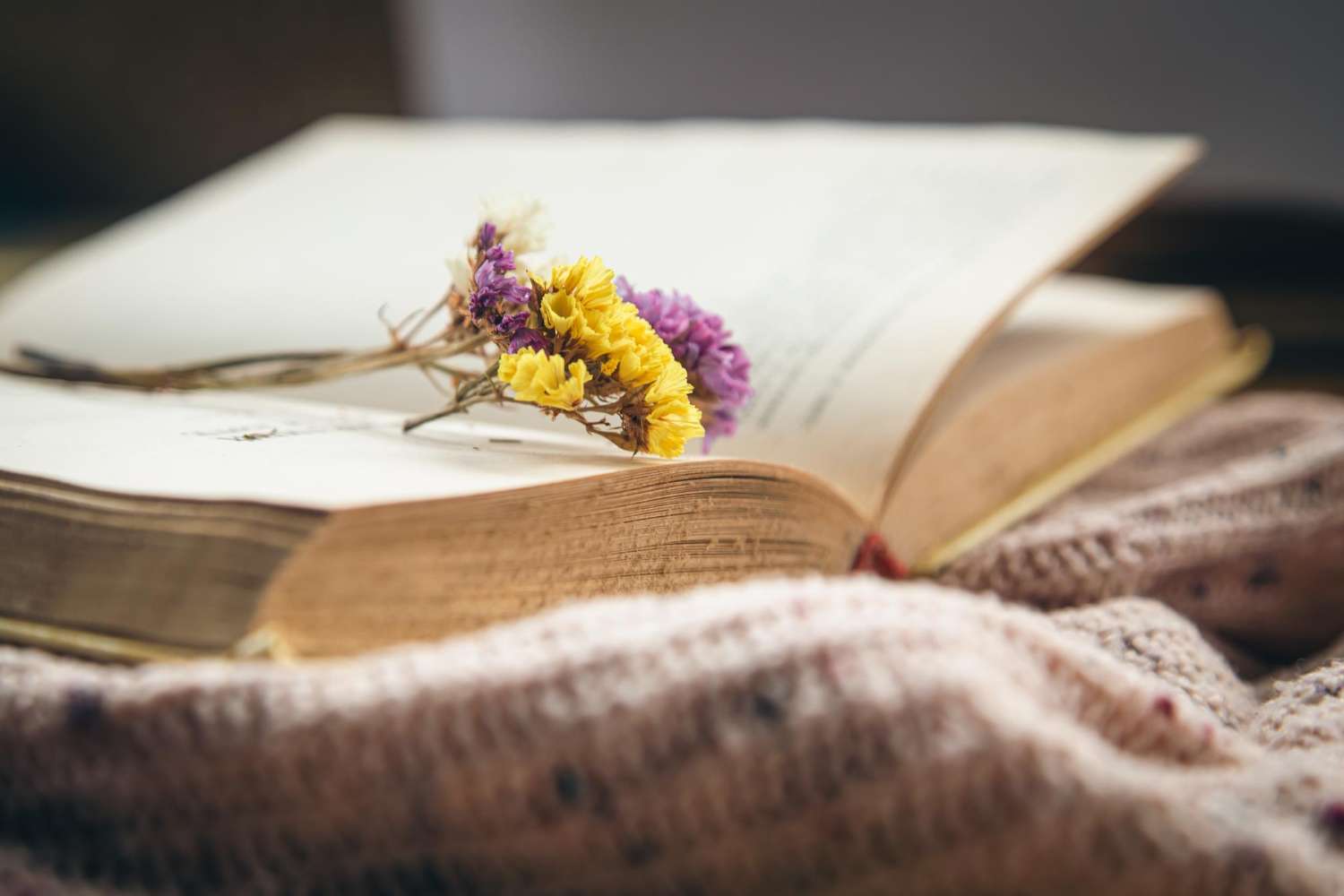 Scopri di più sull'articolo Poesia di oggi: il diverbio tra semplice e complesso
