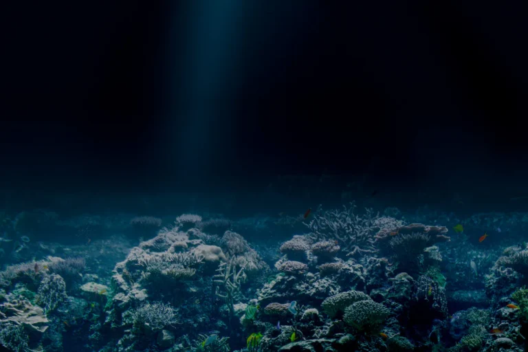 Scopri di più sull'articolo Il Trattato sull’Alto Mare per la Salvaguardia degli Oceani