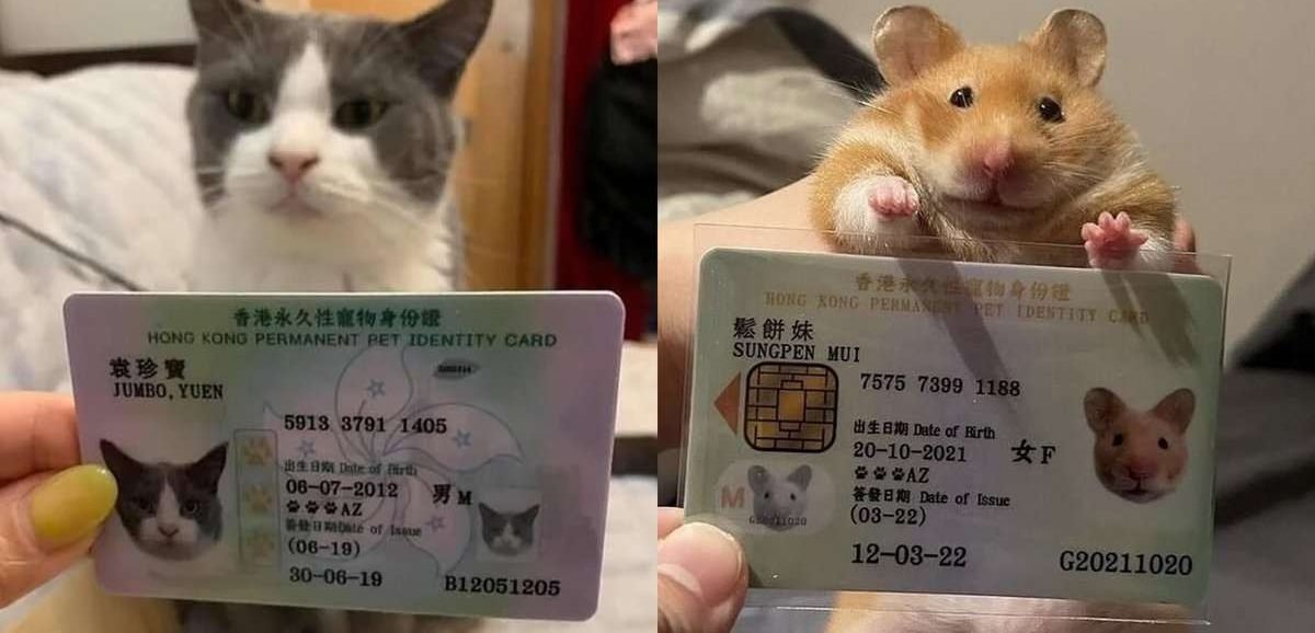 Scopri di più sull'articolo Ad Hong Kong le persone creano documenti per i propri animali