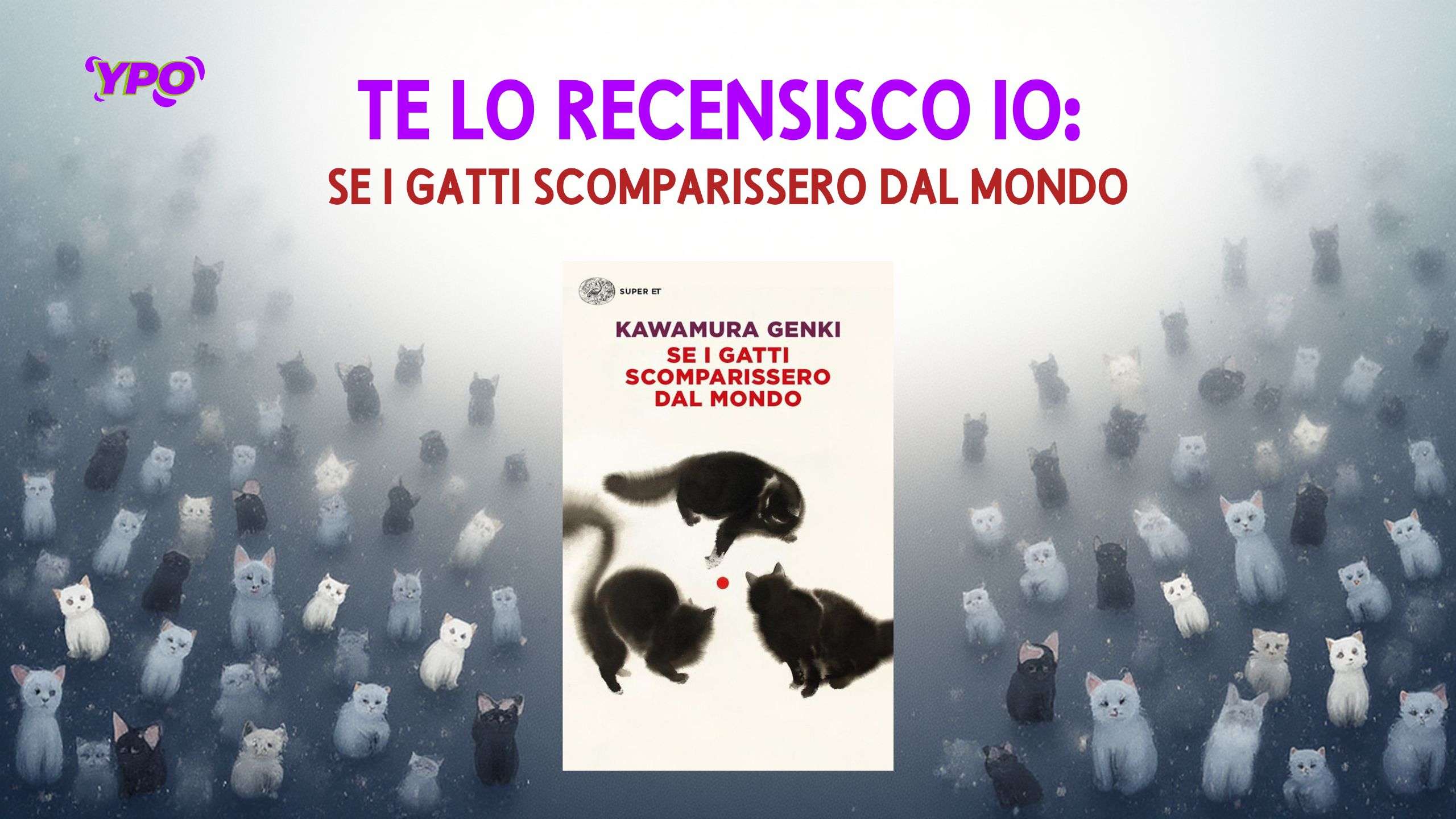 Scopri di più sull'articolo Te lo recensisco io: se i gatti scomparissero dal mondo
