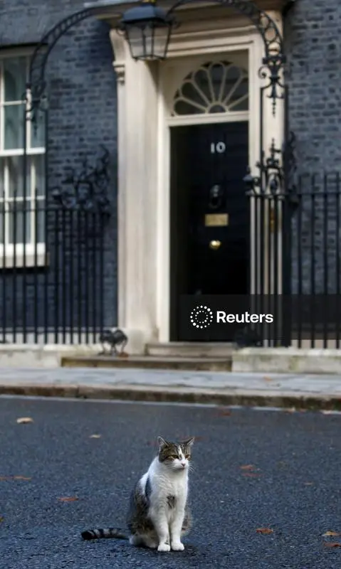 Larry, il gatto di Downing street, dà il benvenuto ad Andy Burnham